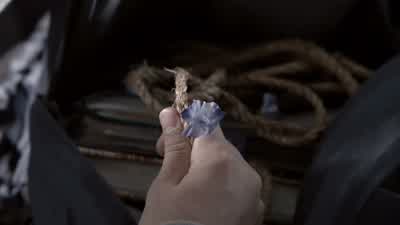 You kept it? - Teen Wolf
