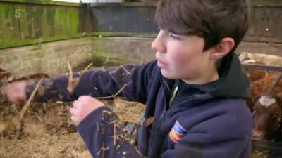 You kids have never got to go
into a pen - Our Yorkshire Farm