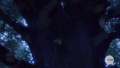 You were killed
for helping another person! - The Watcher in the Woods