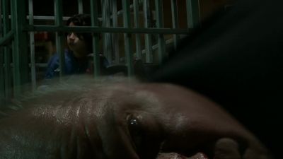 You killed him. - Big Sky