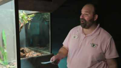 You know, if a chameleon
were to come to our water park, - On Becoming a God in Central Florida