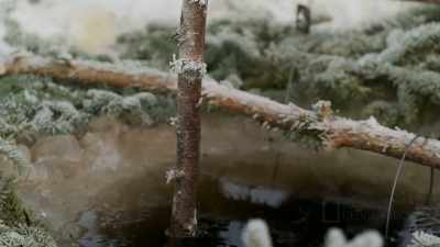 You know, bless us
with your presence. - Life Below Zero: First Alaskans
