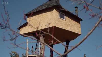 You know, climbing up here
and crawling inside - The Art of Japanese Life