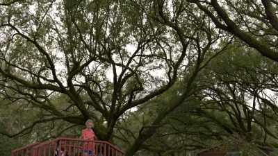 You know, don't get me wrong,
I really look forward to camp. - Secrets of Sulphur Springs