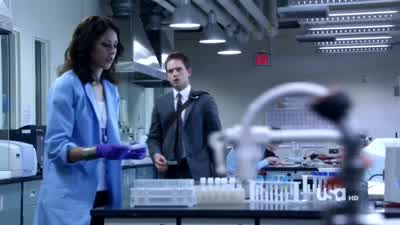 You know, forging a government document like this after 911 is next to impossible. - Suits