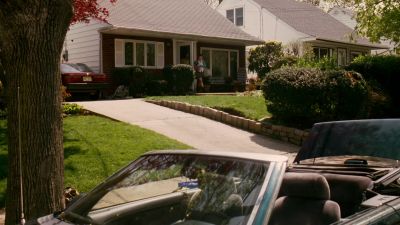 You know my grandmother worked as a domestic - The Nanny Diaries
