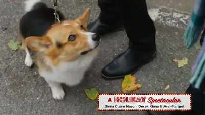 You know, helping these guys
through hard times - A Royal Corgi Christmas