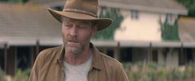 You know, that horse out there,
she was rounded up out west. - Black Beauty