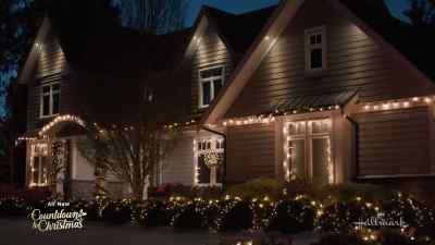 You know how I bring
you a tree every year. - Three Wiser Men And A Boy