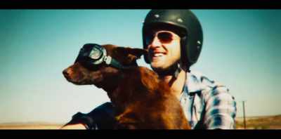 You know, human beings,
we always have - Koko: A Red Dog Story