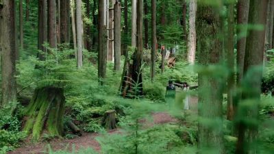 You know, when I was a little girl, the summer palace was my favorite place. - Once Upon a Time