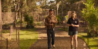 You know, I believe that
if you hold a tiger, - Joe vs Carole