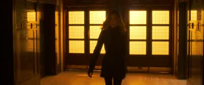 You know I can't let you in, Ada. - Wildcat