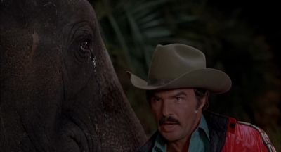 You know I could take you head off - Smokey and the Bandit II