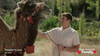 You know, I looked it
up online about camels, - Passport to Love