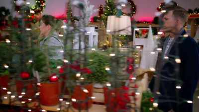 You know, I love that Kelly
grows her own mistletoe. - Meet Me Under the Mistletoe