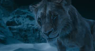 You know I love her my brotherThere's nothing we keep from each otherI saved your lifeThis is how you repay meWhat do I do What does it meanHow do I ever unsee what I've seenHe was my kin She was my queenNow it's broken forever andTell her it's you She - Mufasa: The Lion King