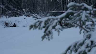 You know, I mean,
you could be the same way - Life Below Zero: Next Generation