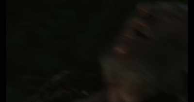 You know,
I never figured that out, - Time Warp Vol. 2: Horror and Sci-Fi