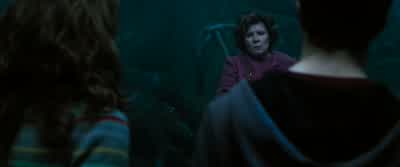 You know......I really hate children. - Harry Potter and the Order of the Phoenix