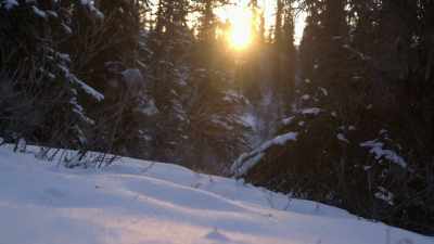 You know, I'’m not going up
a side trail or a zig-zag. - Life Below Zero: Next Generation