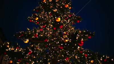 You know, I still
would've respected you - Christmas Class Reunion