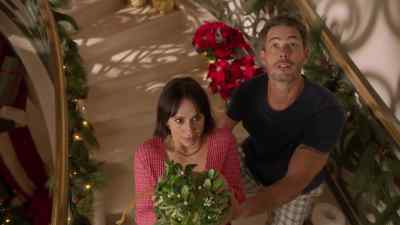 You know, I think you'd
have better luck - The Holiday Junkie