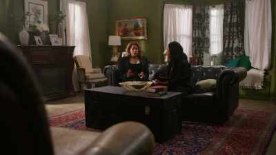 You know, I thought this
interview was about - The Jane Mysteries: Too Much to Lose