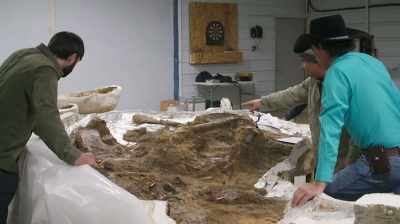 YOU KNOW, IF WE CAN IDENTIFY
WHAT SPECIES IT WAS, - Dino Hunters