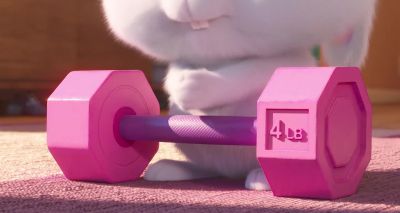 You know I'm a be the first bunny with washboard glutes - The Secret Life of Pets 2