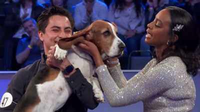 You know, in some ways,
a surprise, - 2022 American Rescue Dog Show