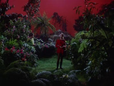 You know, if it weren't for Vaal,
this place would be a paradise. - Star Trek