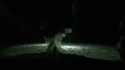 You know, it's not as irrational as you think. - Teen Wolf