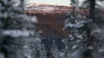 You know, I've been, I've
been waitin' so long for it to - Life Below Zero: Next Generation