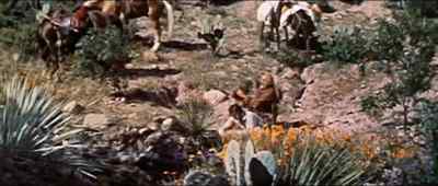 You know, Jim, I just
can't help enjoying - Comanche