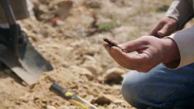 YOU KNOW, JUDGING BY ALL
THIS ORGANIC MATERIAL, - Dino Hunters