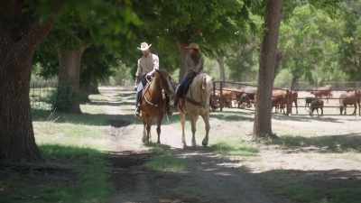 You know, she loves it.
She's good at it, too. - A Cowboy Christmas Romance