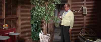You know Mr Tree - Viva Las Vegas