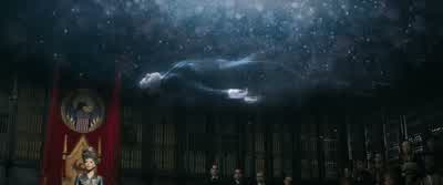 Merlin's beardYou know which of your creatures was responsible Mr ScamanderNo creature did thisDon't pretendYou must know what that was Look at the marksThat was an ObscurusYou go too far Mr ScamanderThere is no Obscurial in AmericaImpound that case - Fantastic Beasts and Where to Find Them