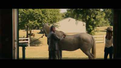You know, you really
ought to ride this boy. - Tulsa King