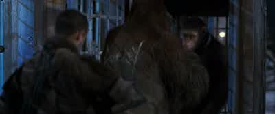 You know... - War for the Planet of the Apes