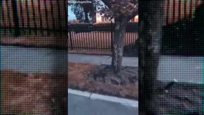 You know that saying, if your friends jumped off a bridge, - Famously Haunted: Amityville