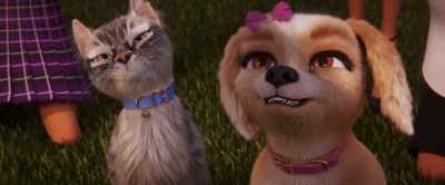 - You know, sinister?
- Evil? - Gracie & Pedro: Pets to the Rescue
