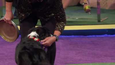 You know, you step
onto this purple carpet - 2022 American Rescue Dog Show
