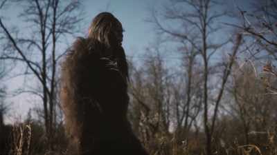 You know, as such
a large animal, - Secrets of the Sasquatch