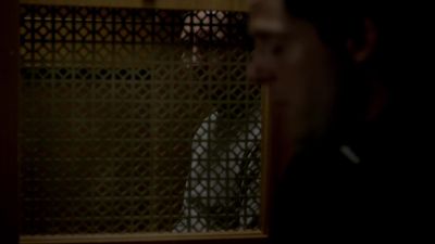 You know, Terry... - Ray Donovan