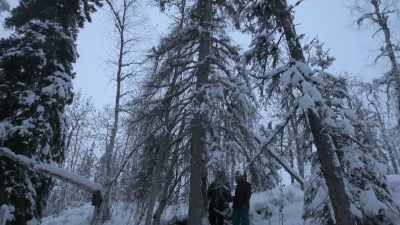 You know, that, with the
big lean that goes up hill, - Life Below Zero: Next Generation