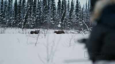 You know, that's gonna
feed our children, - Life Below Zero: First Alaskans