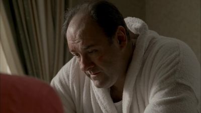 You know the baby's car seat? - The Sopranos
