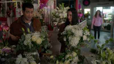 You know, the flowers,
the chocolates, - Harmony From The Heart